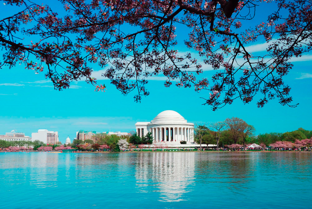 Washington, D.C.